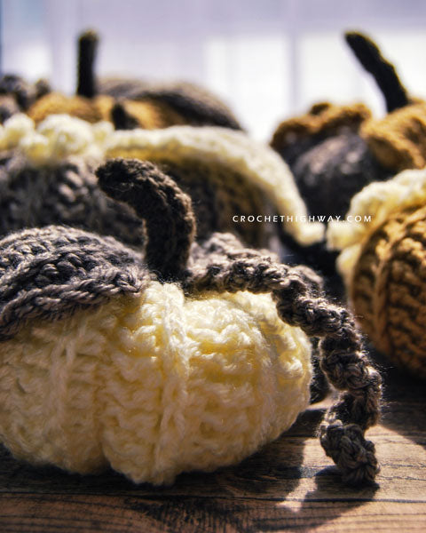 No Slip Stitch Given Pumpkin