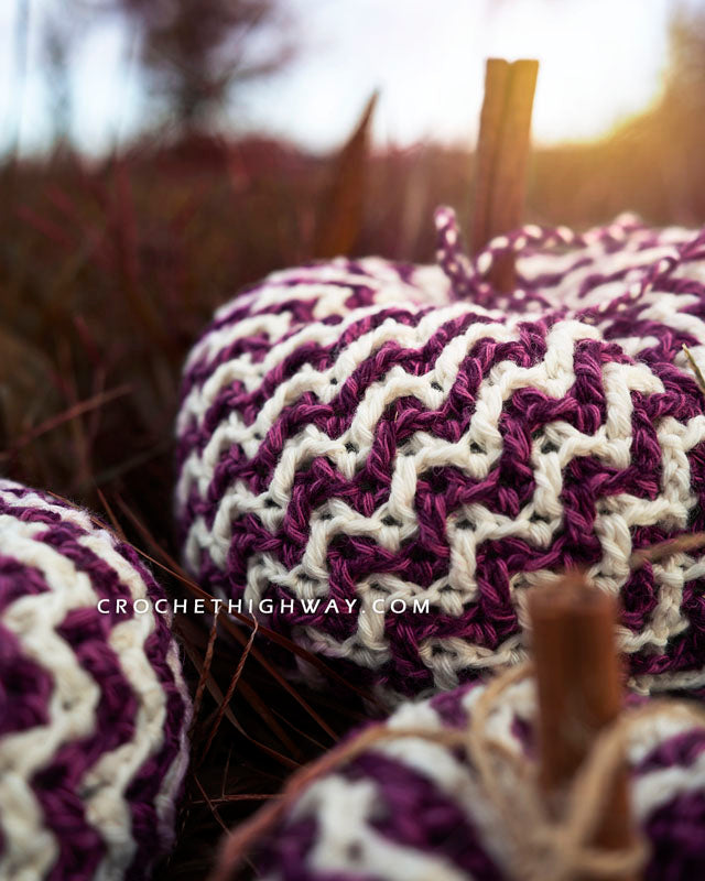 Steppingstone Pumpkin